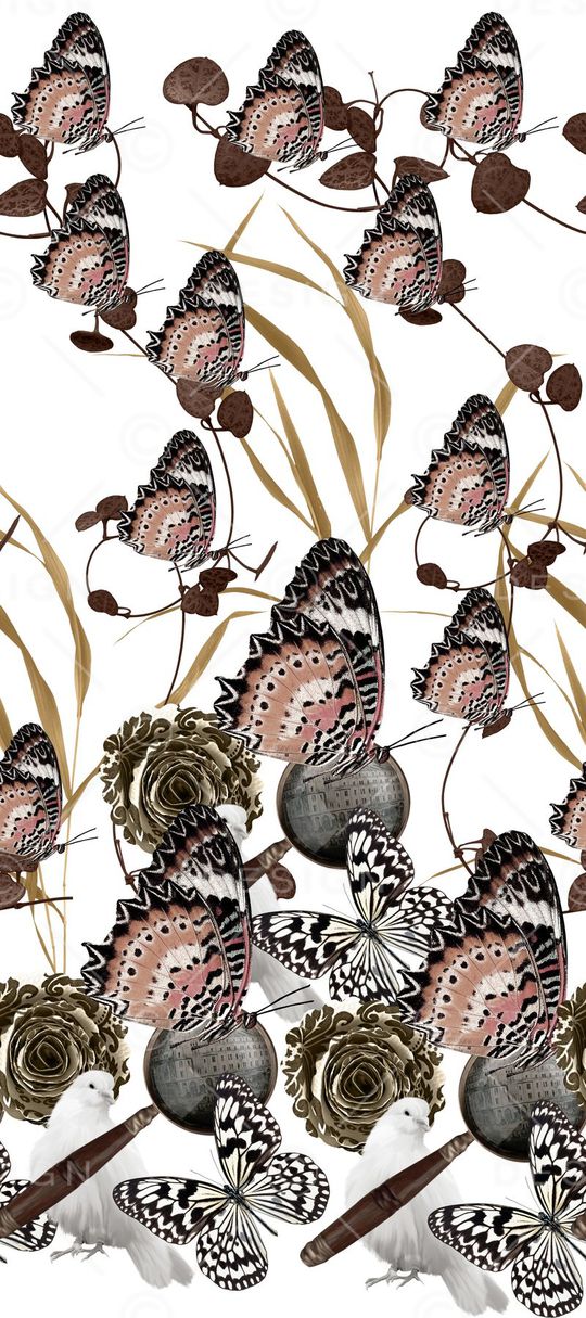 蝴蝶印花华亿平台图片