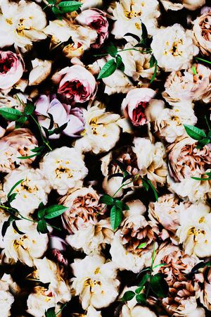 花印花华亿平台图片