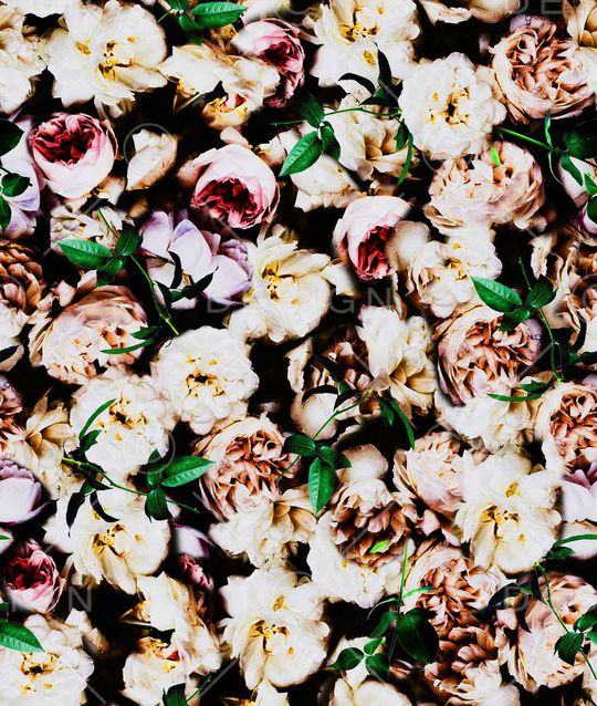 花印花华亿平台图片