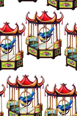 高档宫廷鸟笼子印花华亿平台图片