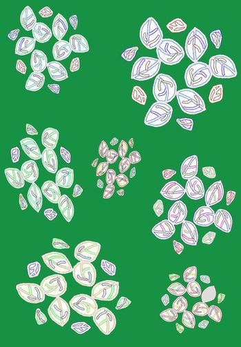 435275-叶子花梦系列