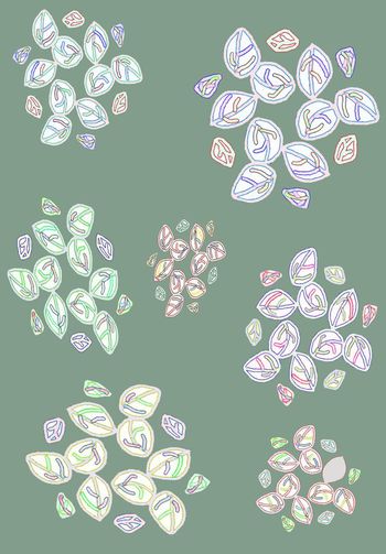 435276-叶子花梦系列