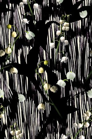 数码高端大牌时尚线条男装女装印花华亿平台图片