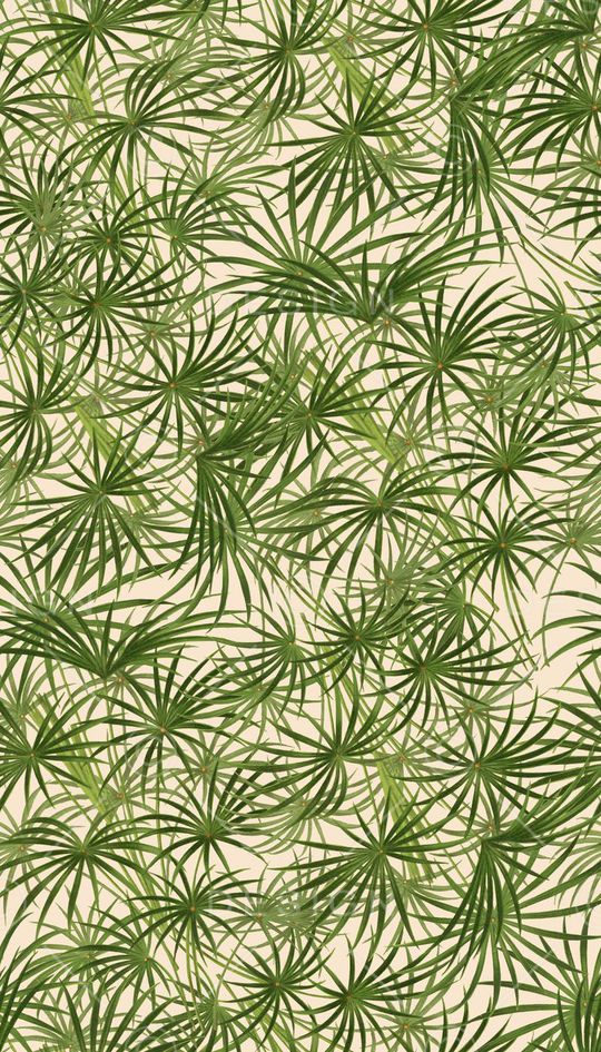 热带风情印花华亿平台图片