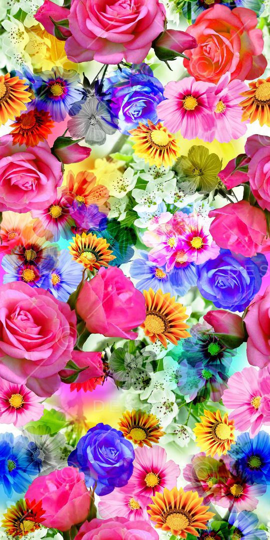 丝绸 真丝 棉布印花华亿平台图片