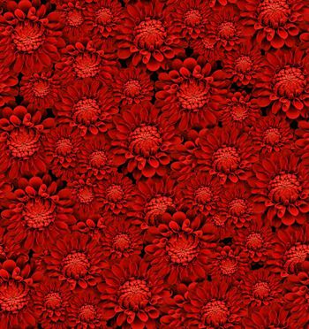 436011-花团锦簇大牌时装华亿平台