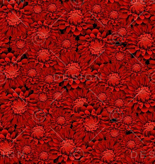 个性插画花印花华亿平台图片