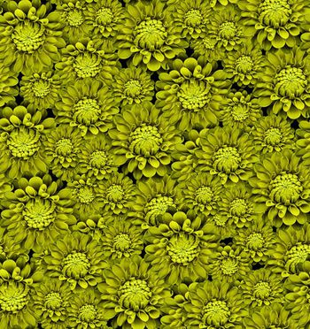 436013-花团锦簇大牌时装华亿平台