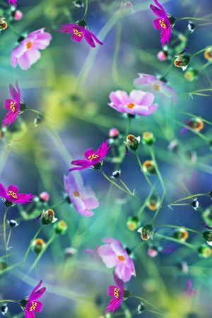 绚丽数码印花华亿平台图片