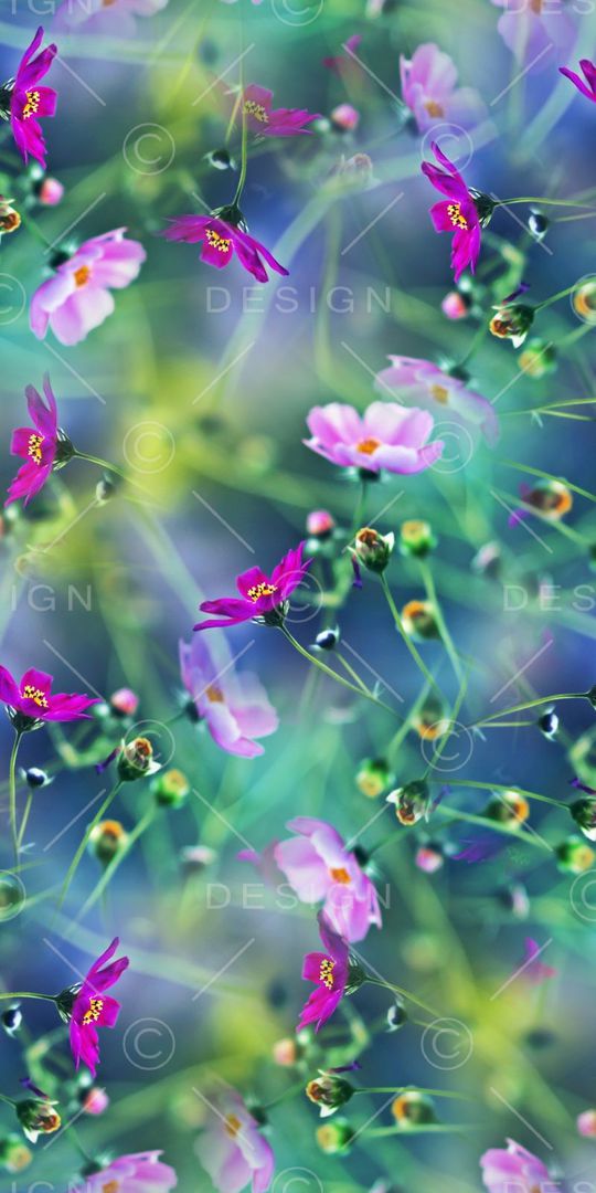 绚丽数码印花华亿平台图片