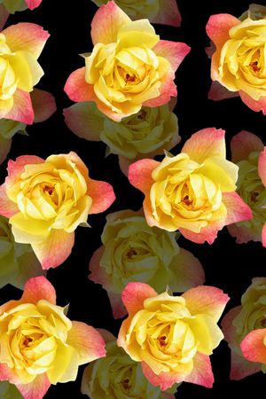 流行趋势女装印花华亿平台图片