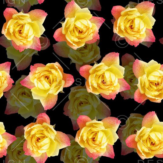 流行趋势女装印花华亿平台图片