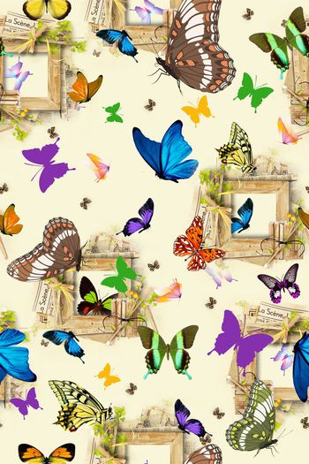 436084-窗外飞来飞去的蝴蝶