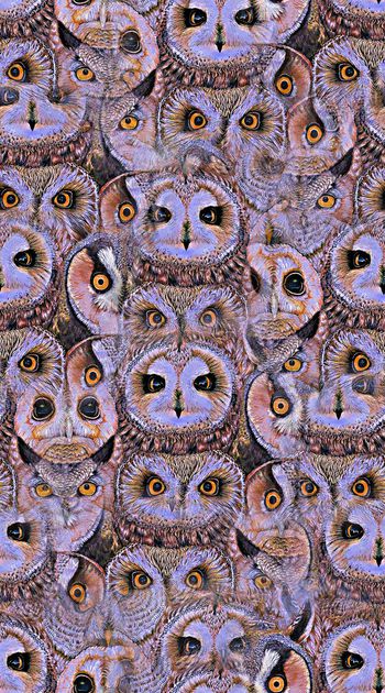 436144-创意满版猫头鹰眼睛 服装