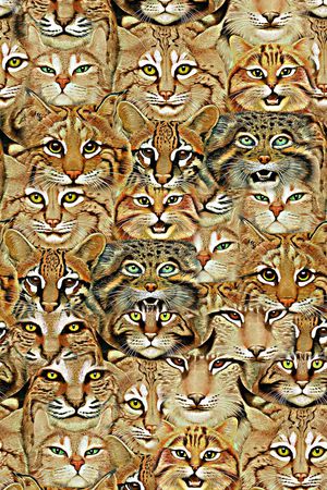 创意印花华亿平台图片