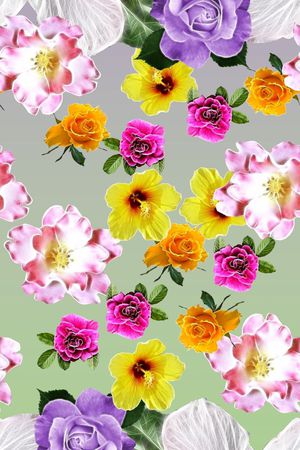 渐变印花华亿平台图片