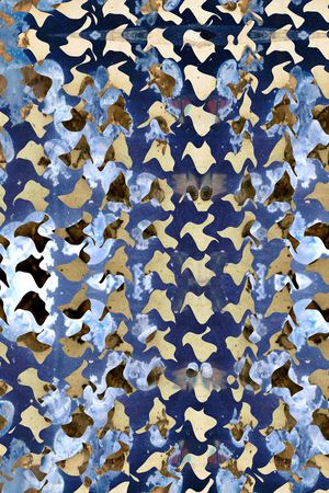 潮流印花华亿平台图片