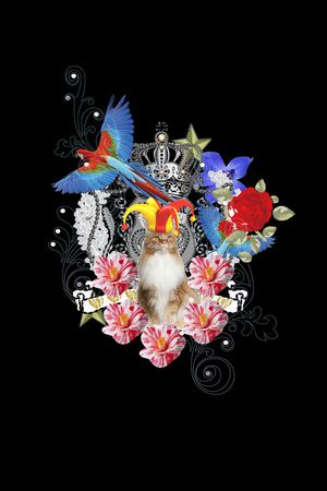 T恤印花华亿平台图片