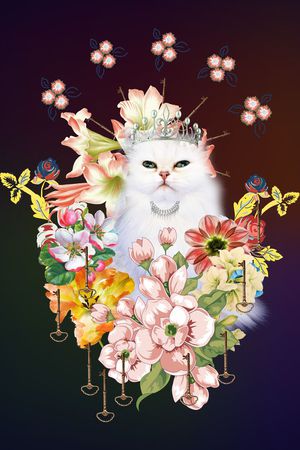 定位时尚印花华亿平台图片