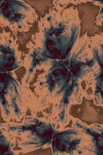 436247-绚烂蝴蝶星云——星空蝶影