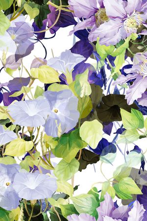 流行韩国印花华亿平台图片