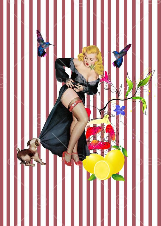 D&G杜嘉班纳印花华亿平台图片