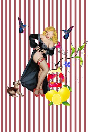 D&G杜嘉班纳印花华亿平台图片