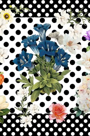 D$G杜嘉班纳印花华亿平台图片