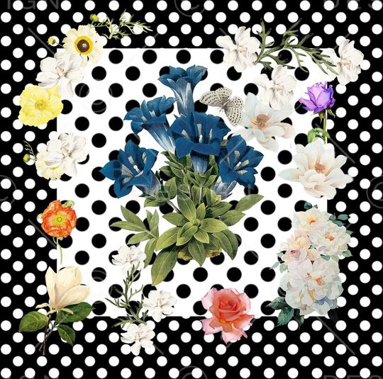 D$G杜嘉班纳印花华亿平台图片