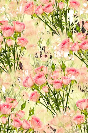 清新印花华亿平台图片