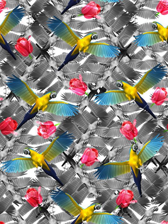 飞翔的鸟印花华亿平台图片