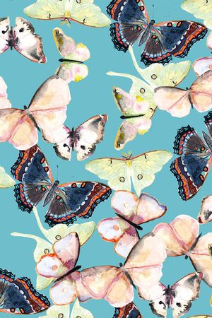 蝴蝶印花华亿平台图片