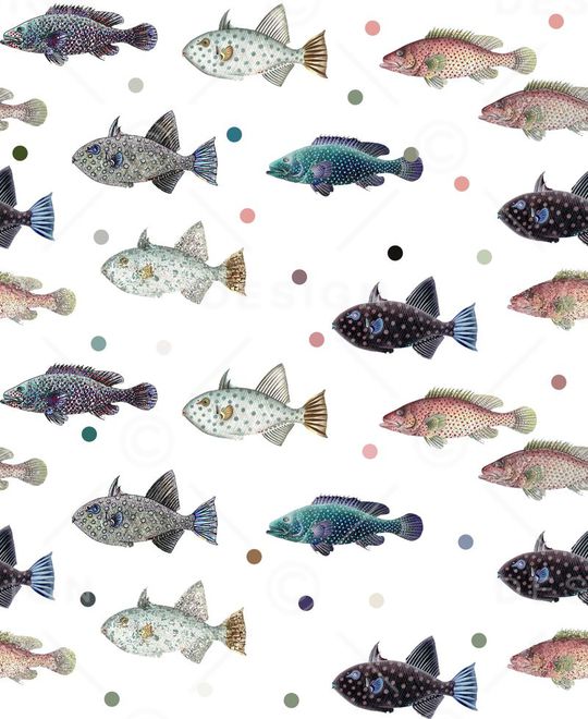 动物鱼儿印花华亿平台图片