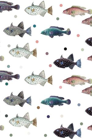 动物鱼儿印花华亿平台图片