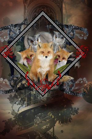 狐狸猫头鹰天空之城印花华亿平台图片