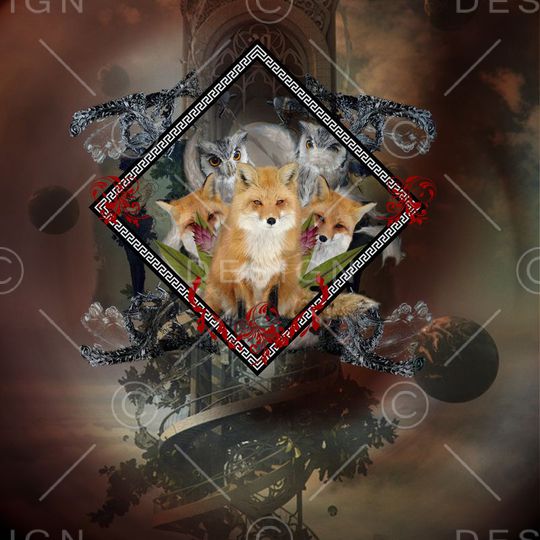 狐狸猫头鹰天空之城印花华亿平台图片