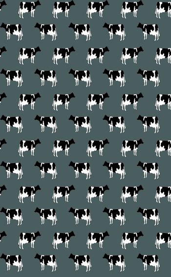 436899-奶牛  卡通可爱 男装童装