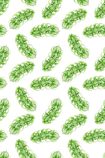 436977-夏季清新风。水蓝色多叶花