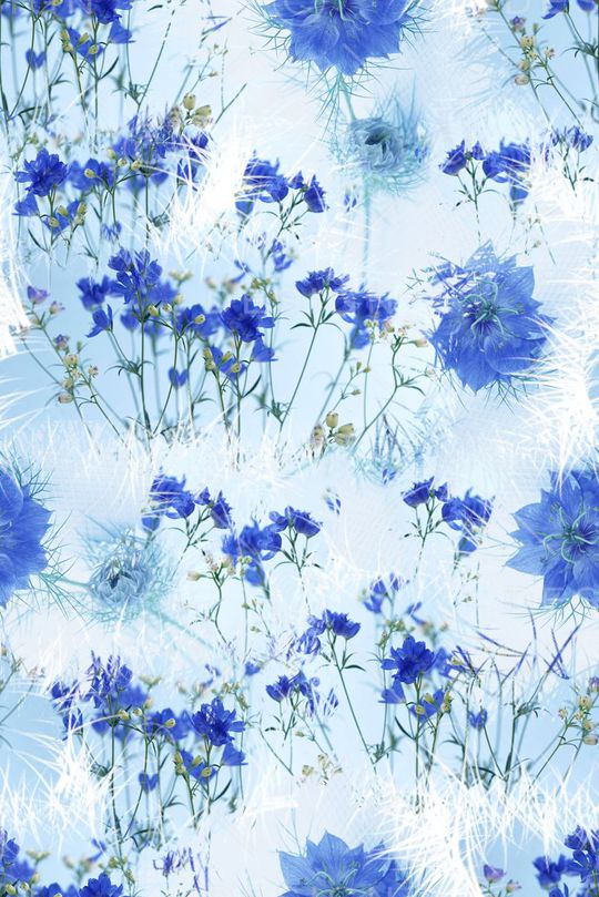 潮流印花华亿平台图片