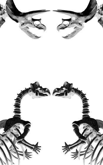 437161-流行时尚恐龙骨架潮流男装T恤卫衣对