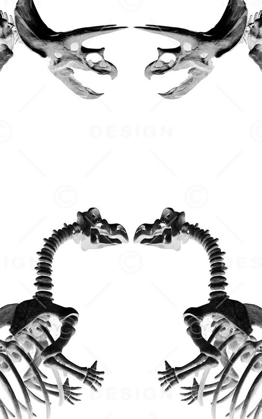 趣味印花华亿平台图片