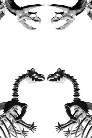 趣味印花华亿平台图片