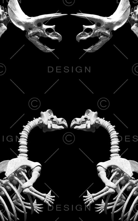 趣味印花华亿平台图片