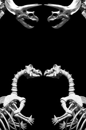 趣味印花华亿平台图片