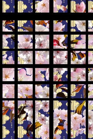 条纹印花华亿平台图片