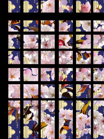 条纹印花华亿平台图片