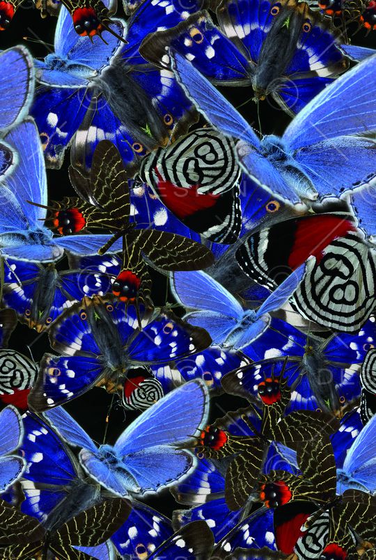 复古印花华亿平台图片