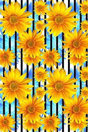 大菊花印花华亿平台图片