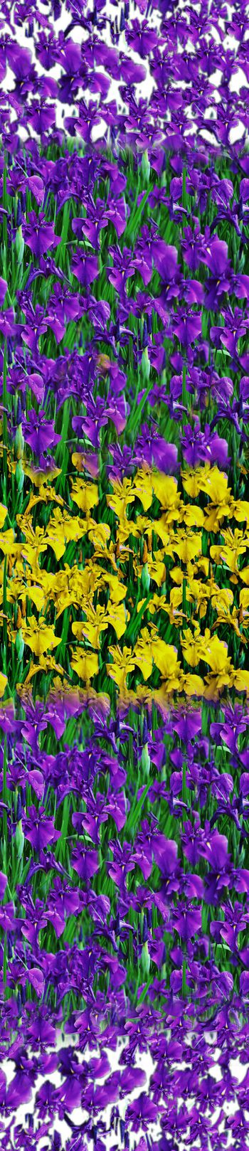 437290-女装数码印花鲜花对比色定位数码女裙