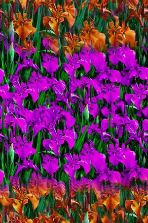 中间定位自然风印花华亿平台图片